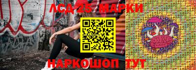 эйфоретик Аргун