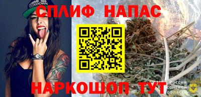 эйфоретик Аргун